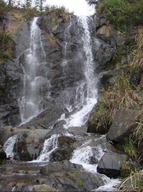 南城麻姑山门票多少钱【相关词_ 南城麻姑山门票】