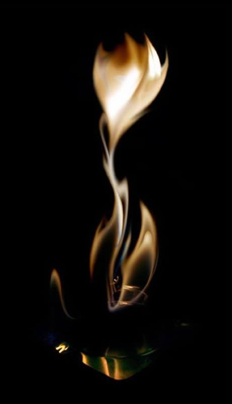 火苗胶印平角泳裤