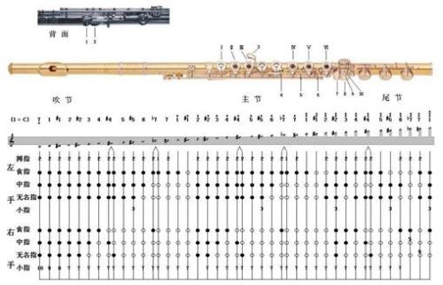 长笛指法