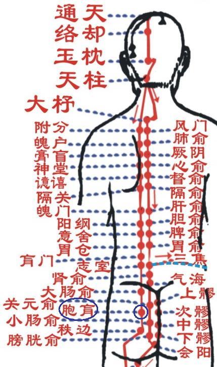 足太阳膀胱经