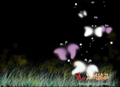 虫儿飞