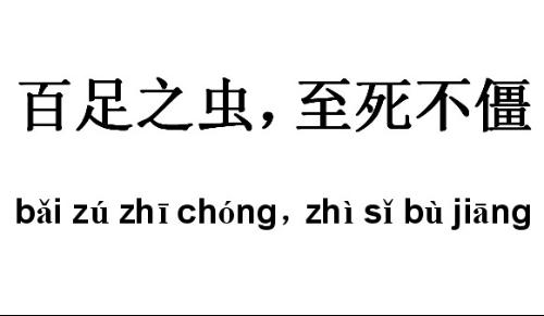 今天振荡调整,百足之虫,死而不僵