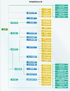 青岛青特集团有限公司