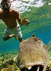  巴瑶族  - 搜狗百科