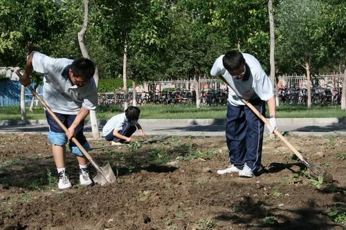 儿童社会实践画报