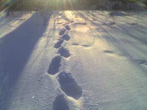 不解之谜 - 搜搜百科