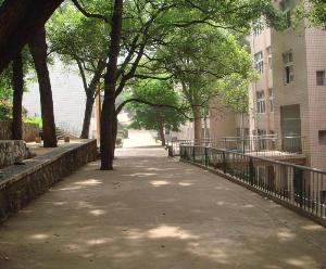 学校现坐落于美丽的邵水河畔,依山傍水,环境幽雅.