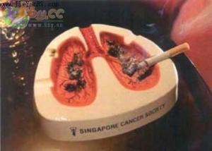 世界无烟日 - 搜搜百科