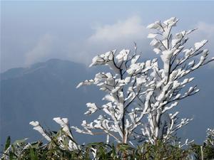 区坐落于粤湘两省交界的粤北南岭腹地,广东省北部南岭山脉中心地带