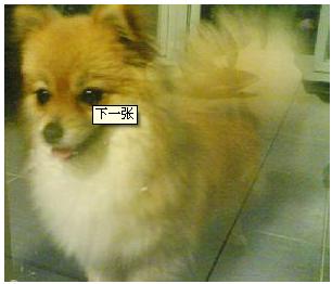 格洛米+-+搜搜百科