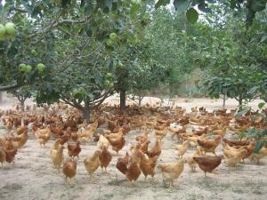 利津县众信畜禽养殖合作社