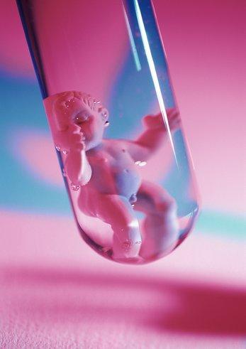 试管婴儿的科学原理：从受精到分娩的漫长旅程 (试管婴儿的科学意义)