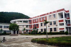 河市中心小学