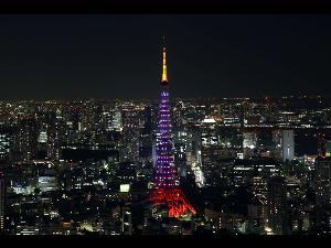 东京(日本首都)