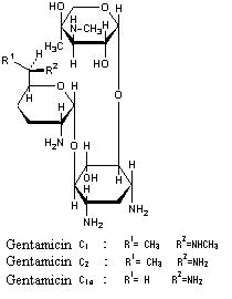 庆大霉素注射液