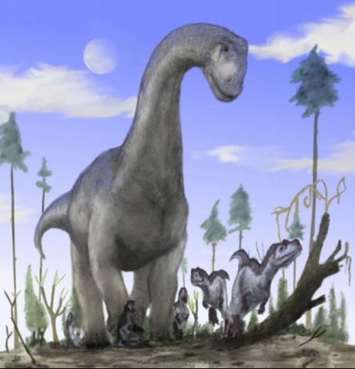 恐龙图片大全及名称 _排行榜大全