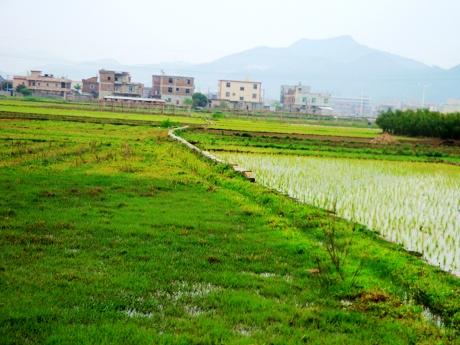 西林村(西林村) 搜狗百科