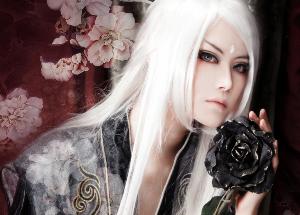 ▓【◎魔宴同盟◎】图片