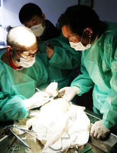 在整形外科手术中无菌操作是一项必须严格执行