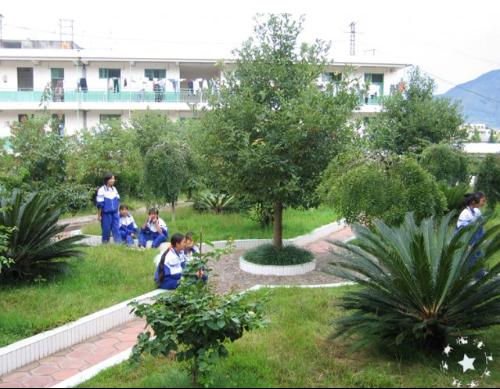 临沧卫校已成为