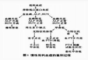 高钙血症的临床表现_高钙血症的表现_高钙血症心电图表现 | 知客分享