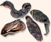 瑶沟乡 - 搜搜百科