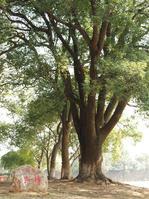 江西青年职业学院