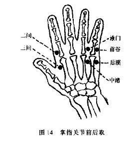 阳溪穴