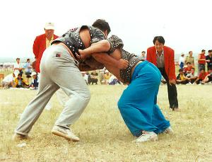 博克图+-+搜搜百科