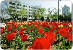 西北师范大学外国语学院