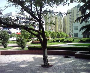 南京化工职业技术学院