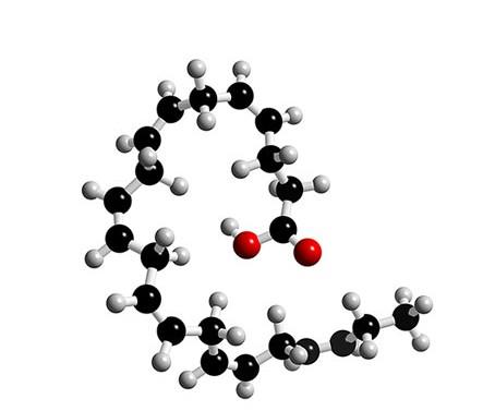 docosahexaenoic acid   简称:dha   cas:6217-54-5   分子式:c22h32