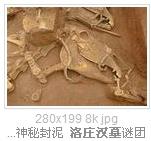 洛庄汉墓