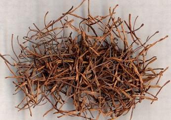 莲须-+搜搜百科