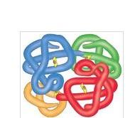 血红蛋白病+-+搜搜百科