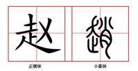 基本资料   拼音:zhào  简体字:赵   部首:走   总笔画:9   部外