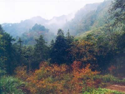 官山自然保护区