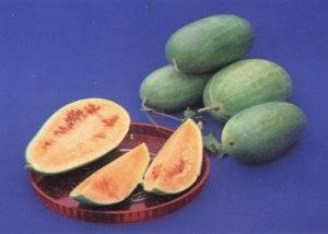 崩瓜 - 搜狗百科