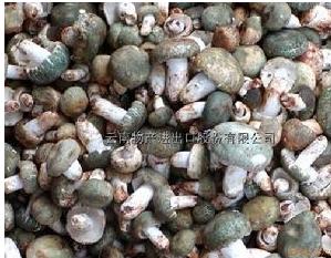 绿菇