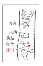 【定位】:在腹股沟外侧,距耻骨联合上缘中点3.