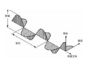 偏振光