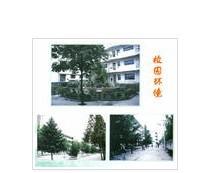 洋县城关中学