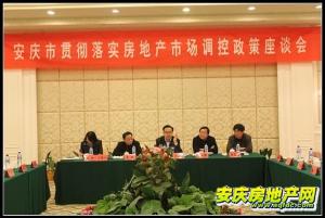 安庆中心城区gdp_安庆黄梅戏艺术节中心(3)