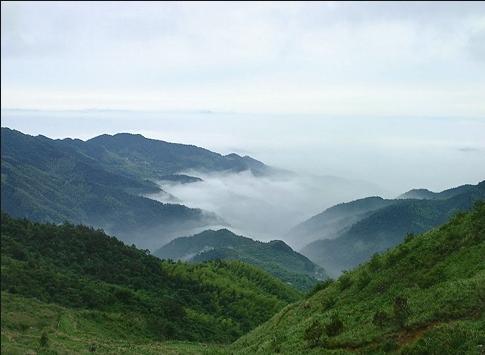 覆卮山的"高山草甸"   在海拔600米以上的山顶地带,一片草海