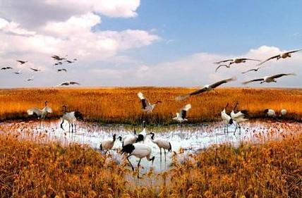 射阳县+-+搜狗百科