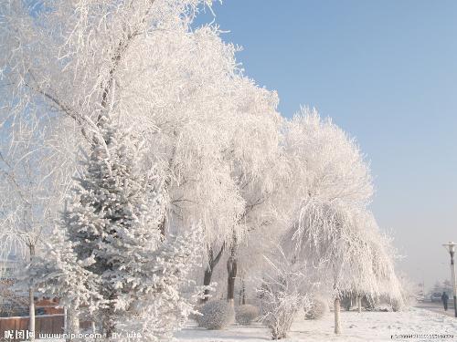 云南石林和长江三峡同为中国四大自然奇观