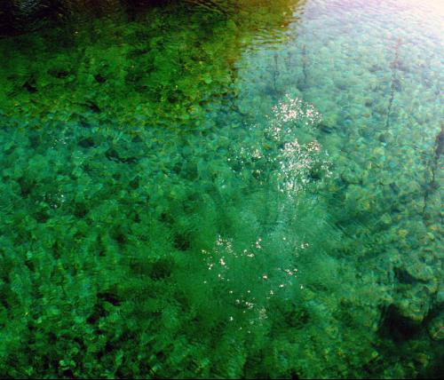 珍珠泉-+搜搜百科