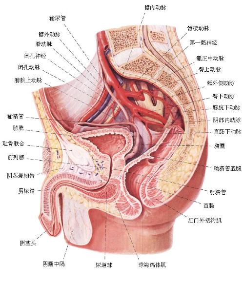 <em>性功能</em>障碍治疗