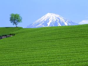 富士山