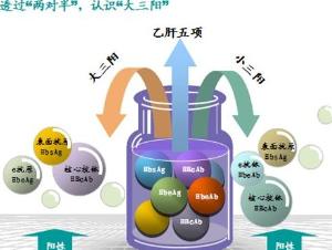 乙肝病毒携带者